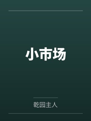 小市场笔趣阁无弹窗封面