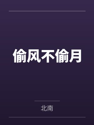 偷风不偷月封面