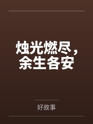 烛光燃尽，余生各安封面