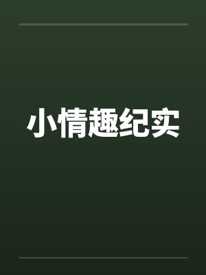 小情趣纪实封面