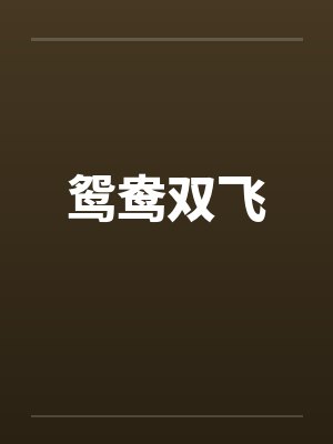 鸳鸯双飞封面