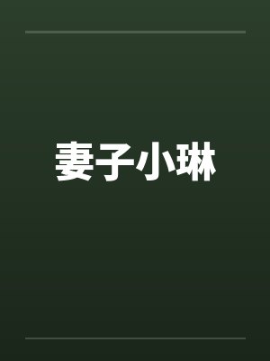 妻子小琳封面
