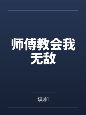 师傅教会我无敌封面