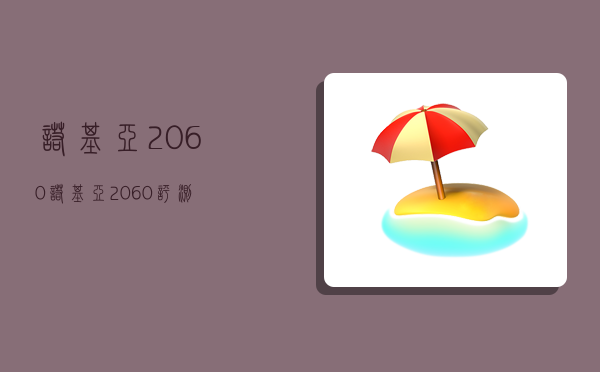诺基亚2060（诺基亚2060支持电信卡吗）